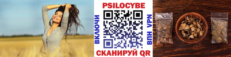 Галлюциногенные грибы Cubensis  Купить где  Любим 